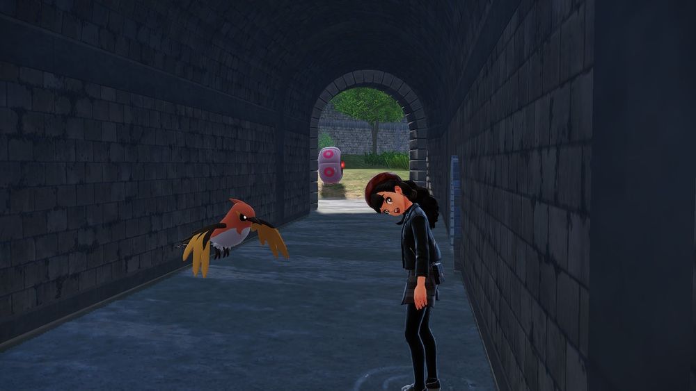 a screenshot of a fletchinder and my pokemon trainer standing in shallow water in a tunnel, where an alpha whirlipede is waiting at the end