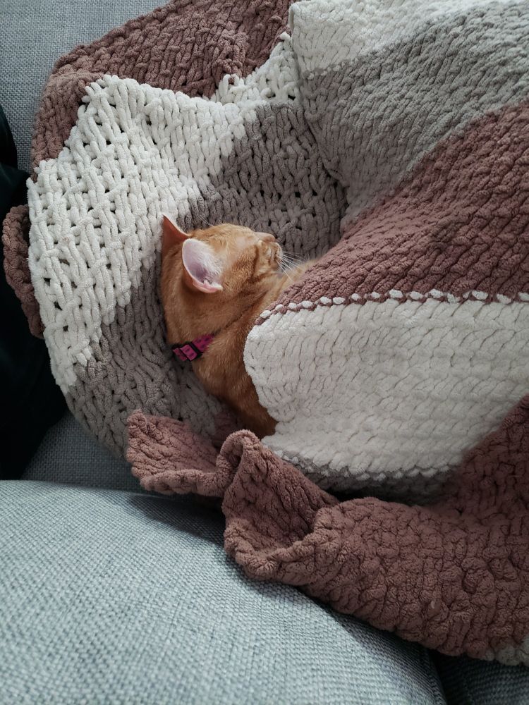 A small orange cat tucked in to a blanket sleeping soundly.