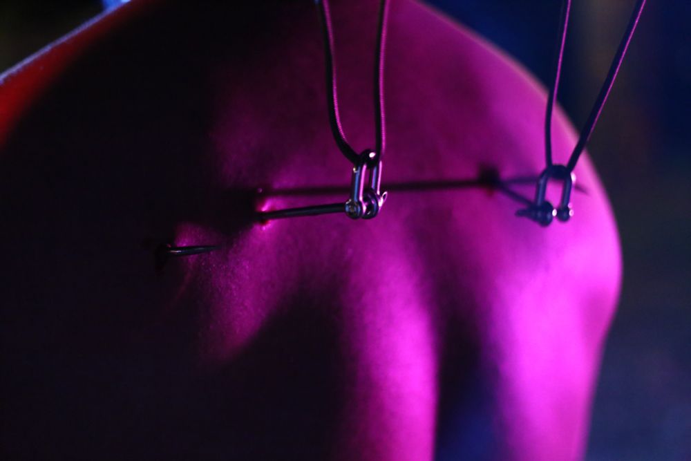 Two flesh hooks are placed in the upper back along the shoulder blades and are connected to a rope in preparation to be suspended in the air. 