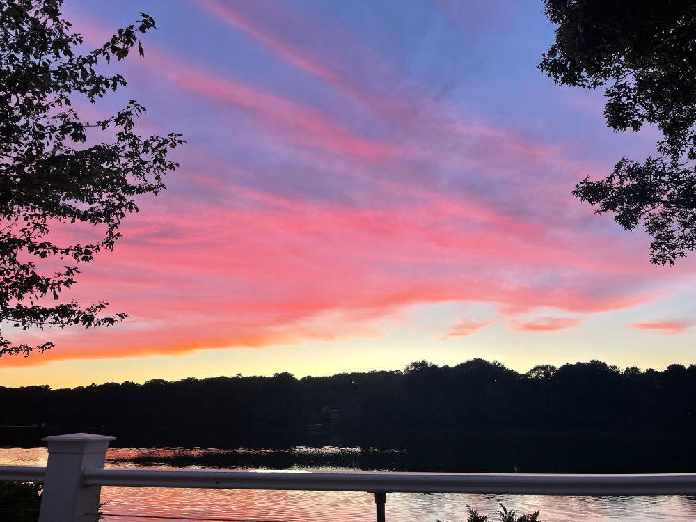 Sunset over trees and water, pink and purple sky.