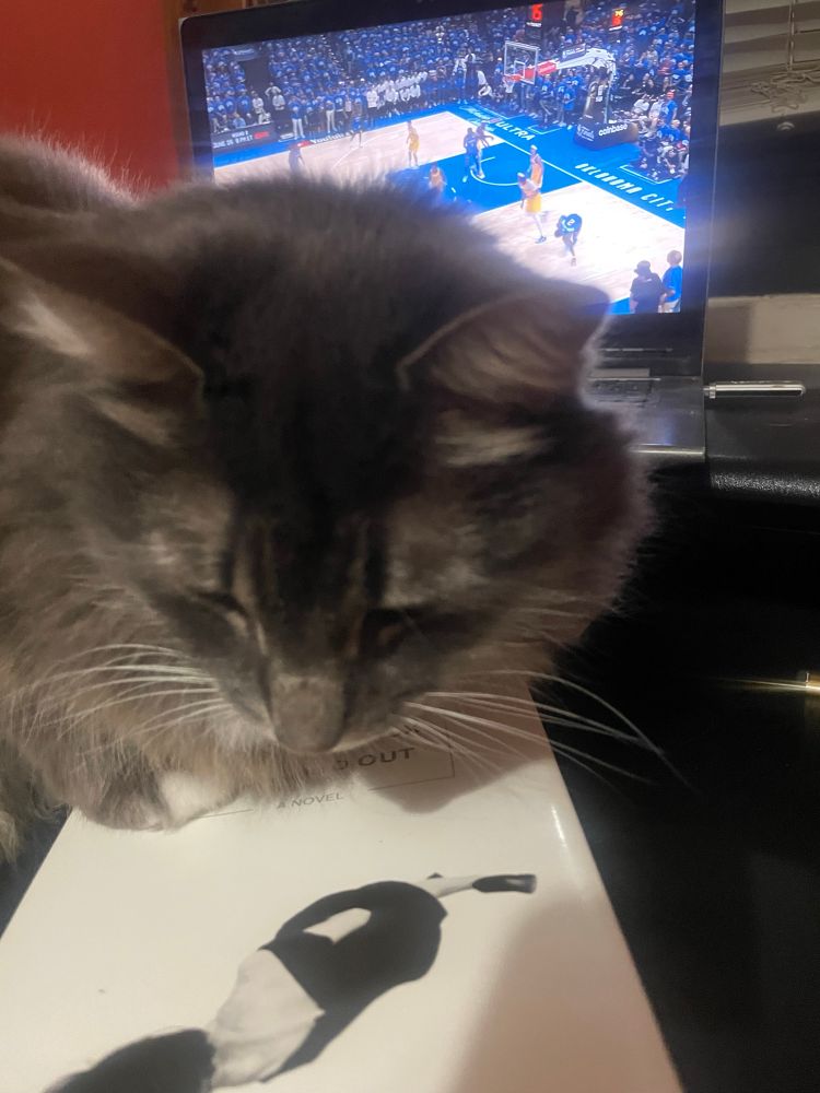 Gray floofer cat sitting on a book with a white cover, in front of a laptop showing a basketball game.