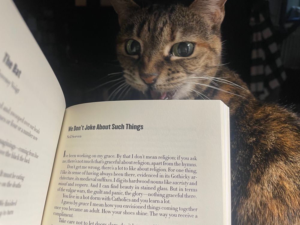 Brown cat looking over the top of an open lit journal, the title WE DON’T JOKE ABOUT SUCH THINGS visible at the top.