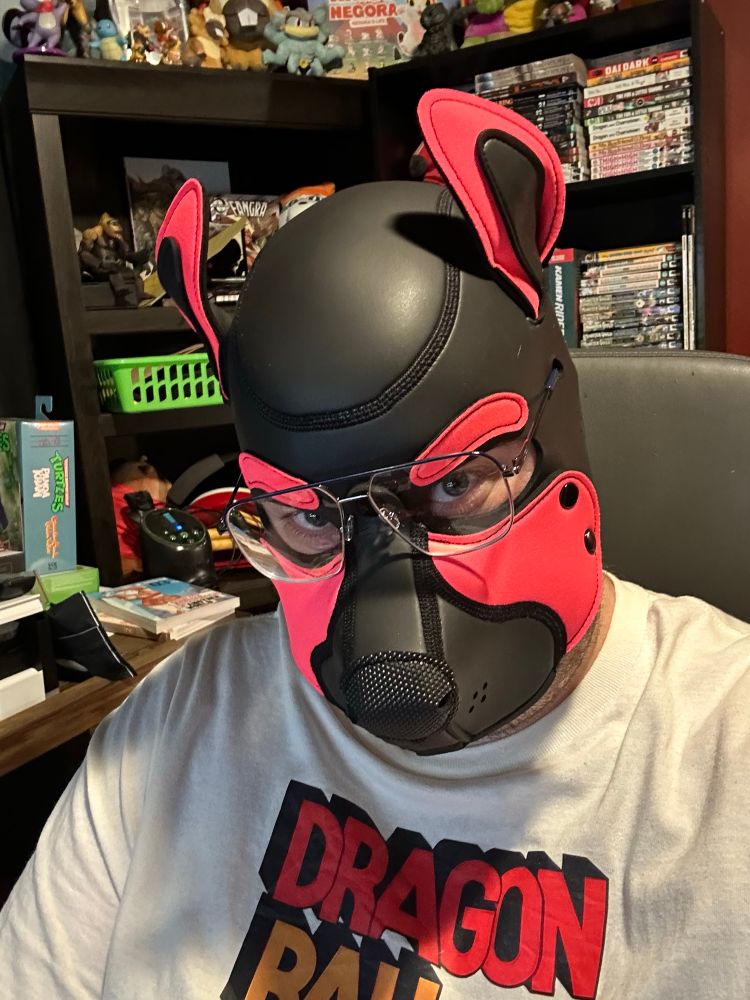 Photo of me trying on my new pup hood, with special holes near the ears so I can wear my glasses, which is pretty cool