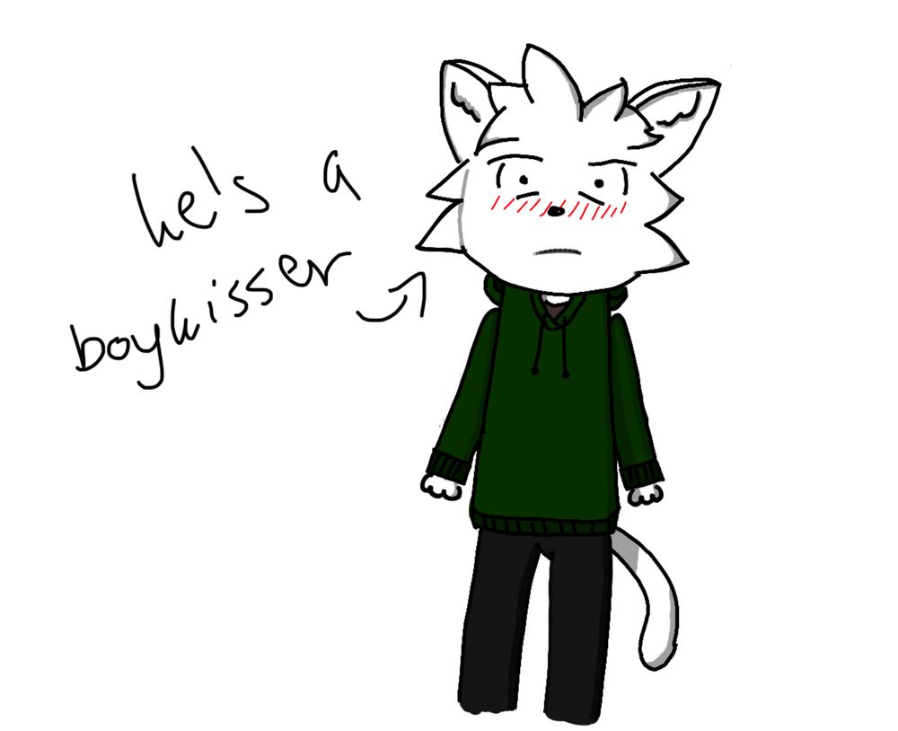 old art of the same cat. here he is wearing black jeans and a green hoodie. there's an arrow pointing at him, with the text "he's a boykisser".