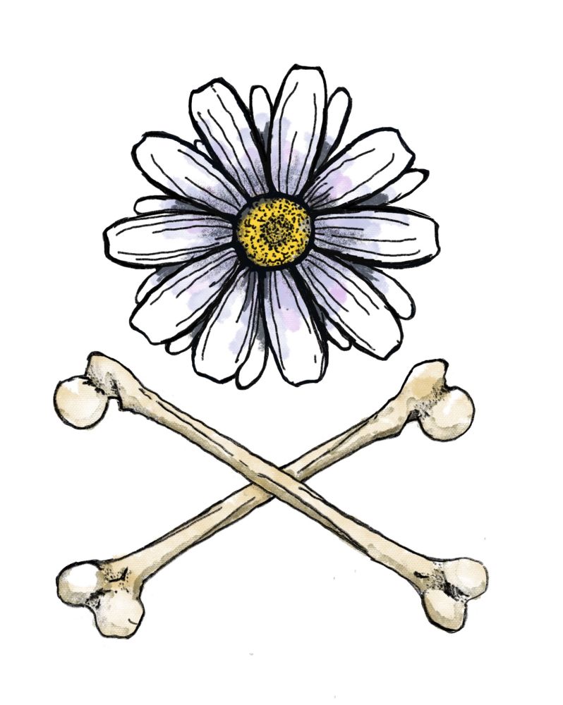A daisy with crossbones, in the style of the jolly roger drawn in procreate