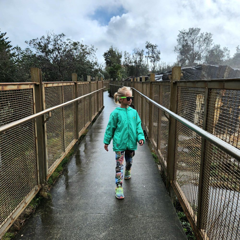 My 8-year-old, wearing neon rainbow sneakers, neon dinosaur sweatpants, a neon green windbreaker, and neon green plastic shades, walking on a path by the ocean. 