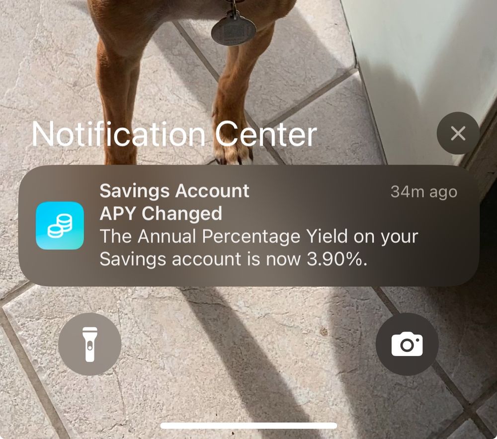 Screenshot of Apple savings APY powered to 3.9%