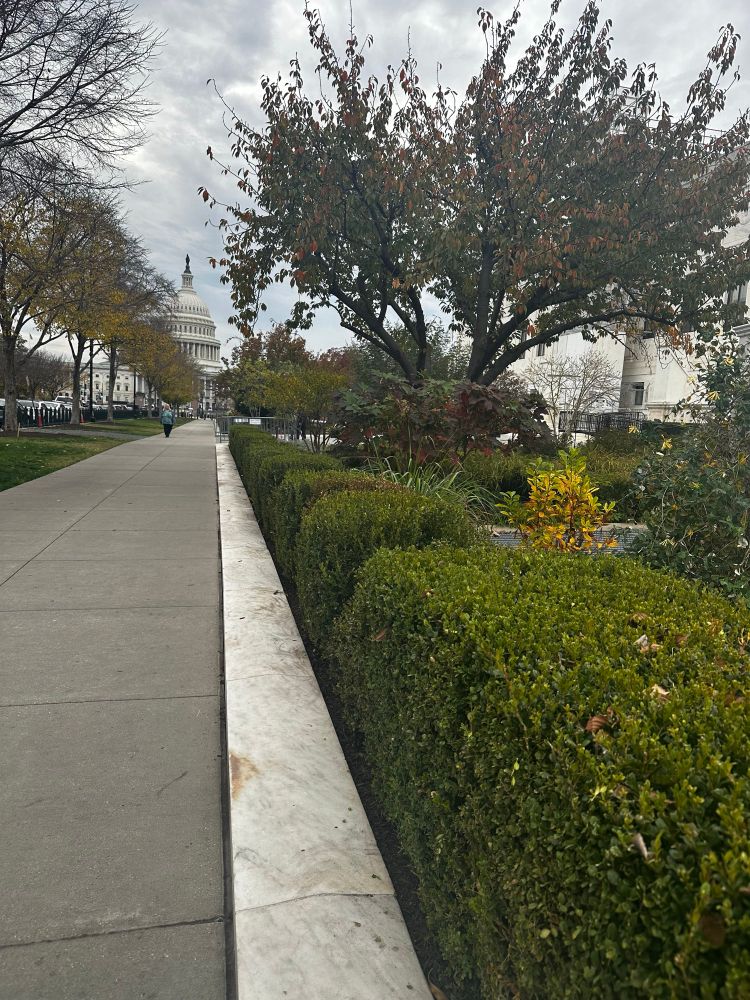 A sidewalk leading to the Capitol. Clean, pretty, peaceful and decidedly not a crime ridden shithole 
