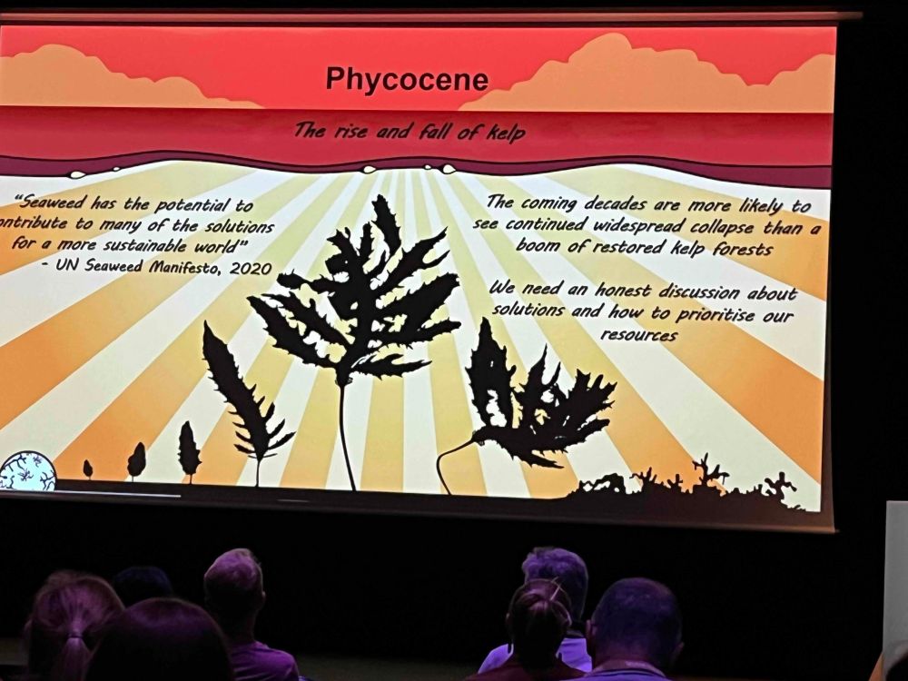 A powerpoint slide with the title "Phycocene", making the point that we need to acknowledge the values of seaweeds/kelp and also need to have honest conversations about their status and possible solutions. 