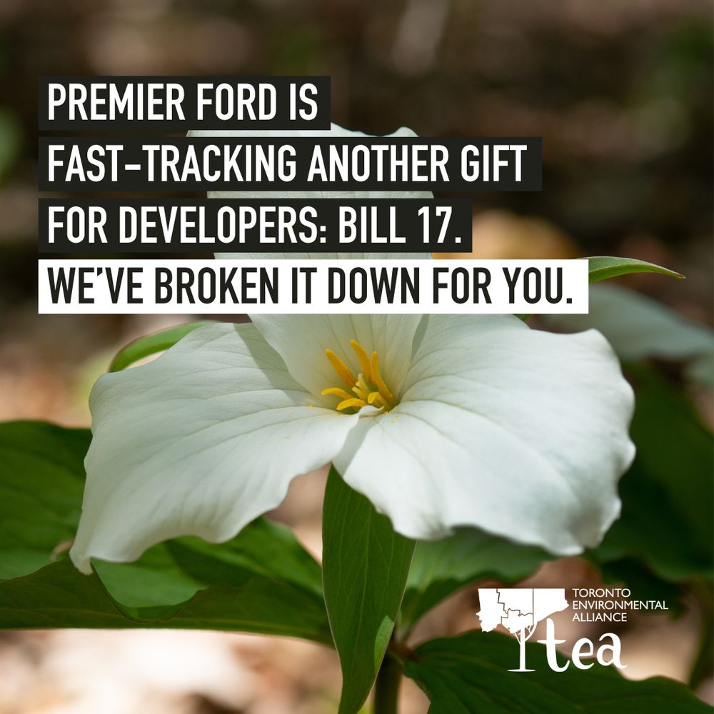 A picture of a trillium flower with text that reads: Premier Ford is fast tracking another gift to developers: Bill 17. We've broken it down for you.