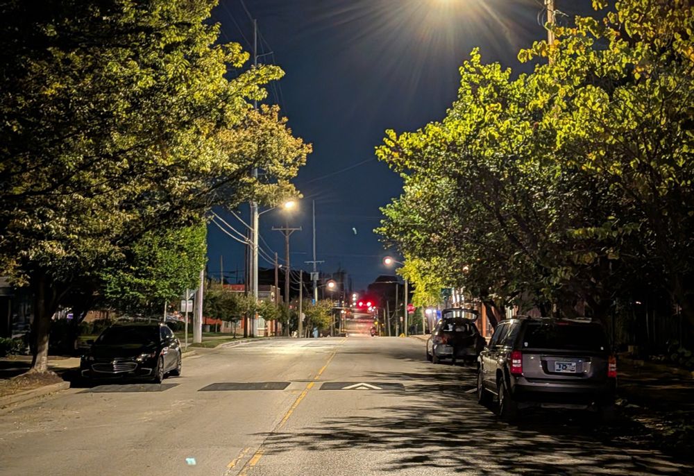 a city street with speed cushions and branches from trees on either side of the street almost meeting overhead