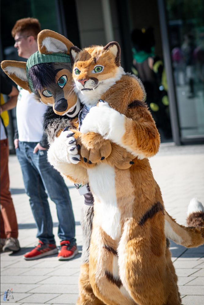Two people in Fursuits, one as a Maned wolf and the other as a Puma, pose together outdoors on a sunny day with other people in the background at Eurofurence 28.