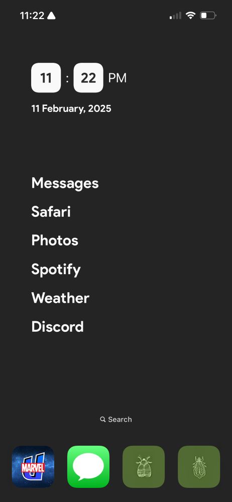 Screenshot of iPhone home screen with minimal app installed that organizes app names into widgets with a gray background as to not crowd your screen or distract you