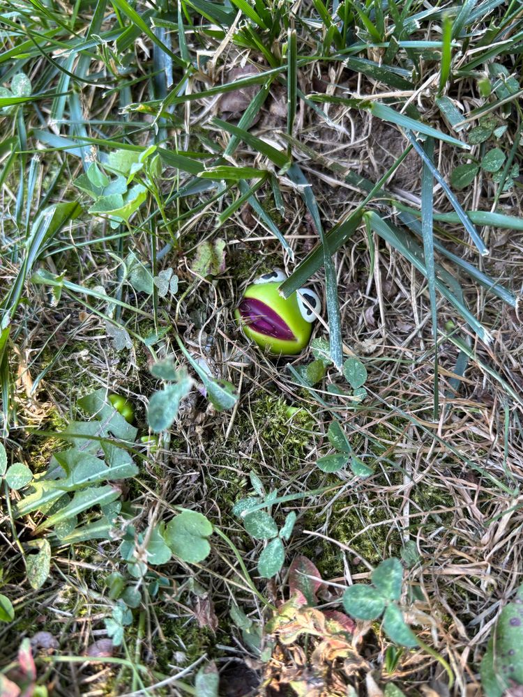 The Earth reclaiming Kermit the Frog.