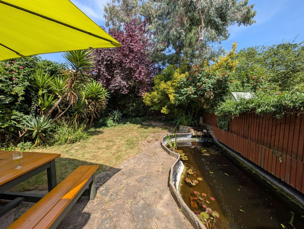 A sunny garden with a freshly mowed lawn