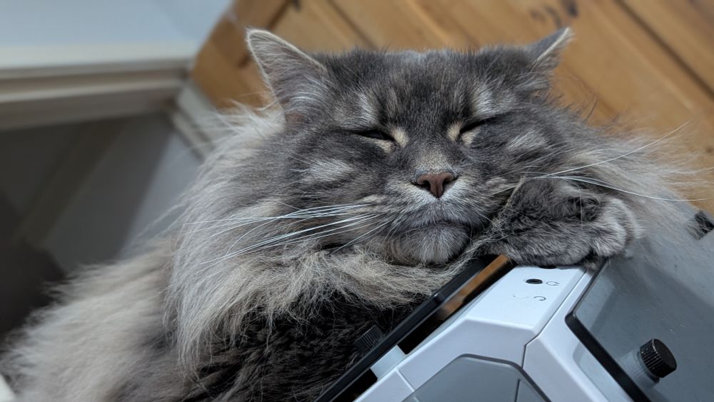 My large fluffy cat, Az (a silver tabby Maine Coon/Ragdoll cross) sleeps peacefully on top of my PC.