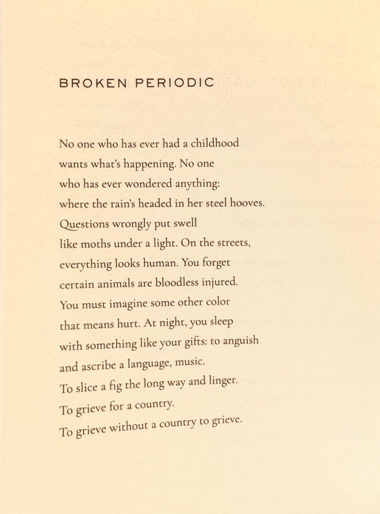 “Broken Periodic” from the collection of poems, AMERICAN FAITH, by Maya C. Popa.