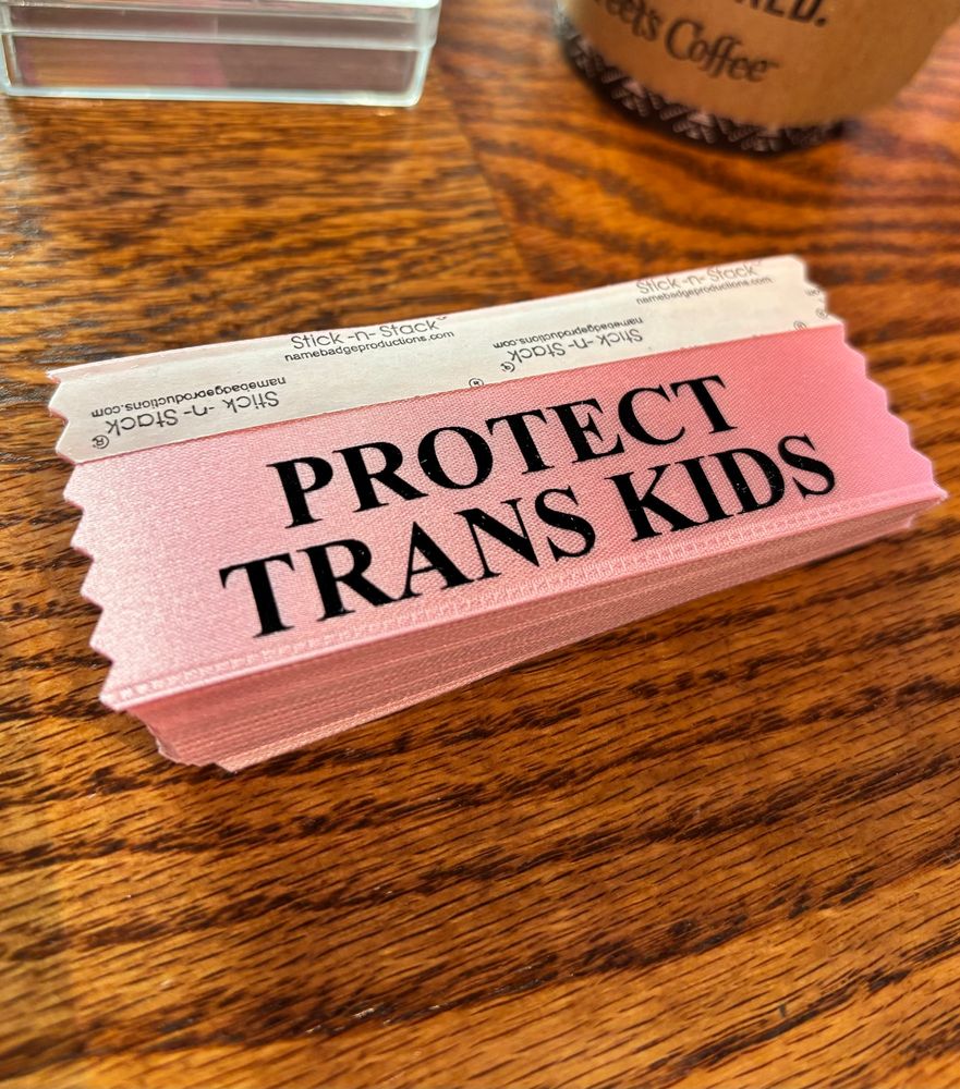 A pink ribbon with black text that reads “PROTECT TRANS KIDS”