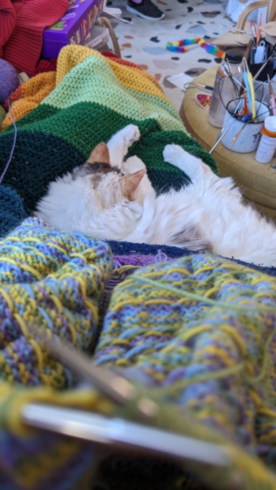 A fluffy white cat with ginger ears and a black spot on her noggin naps in a perfect croissant shape on a rainbow blanket; the photographer's knitting project is out of focus in the foreground