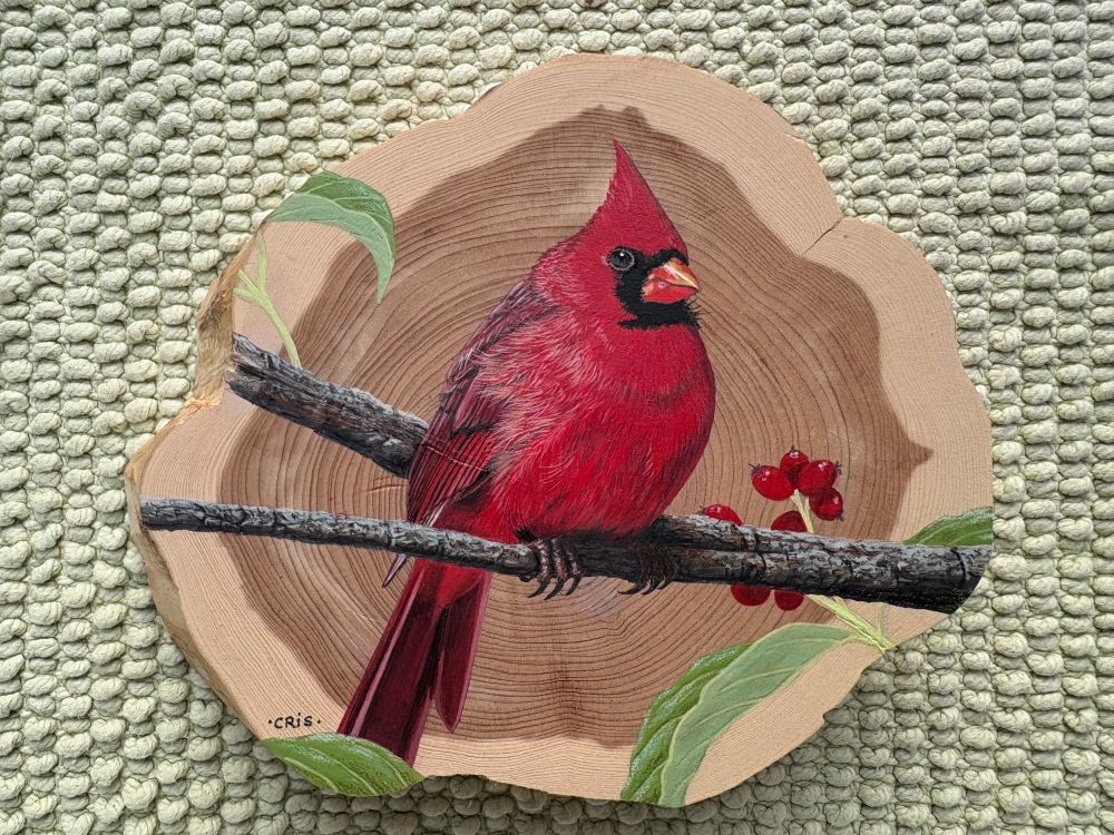 eastern cardinal on cedar painting by Cris Arbo