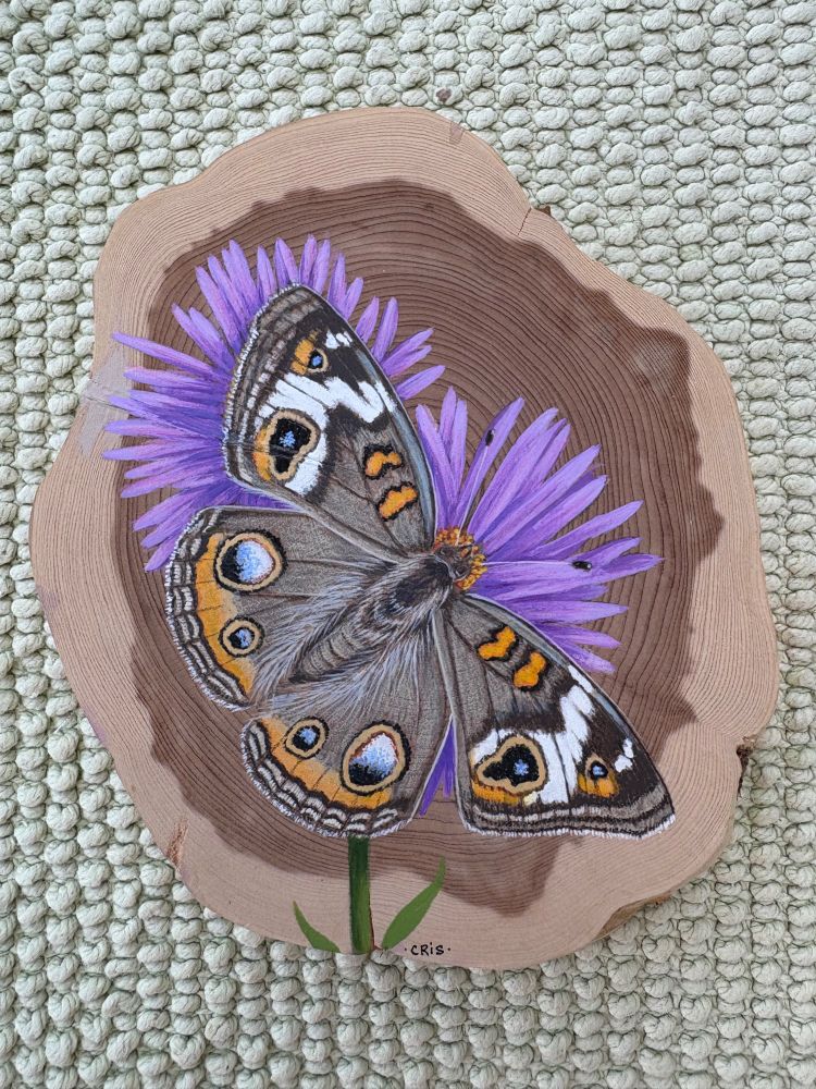 Buckeye on aster painted on cedar by Cris Arbo.