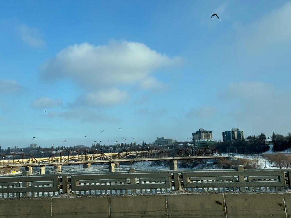 Blue sky white clouds birds and Saskatoon bridges 