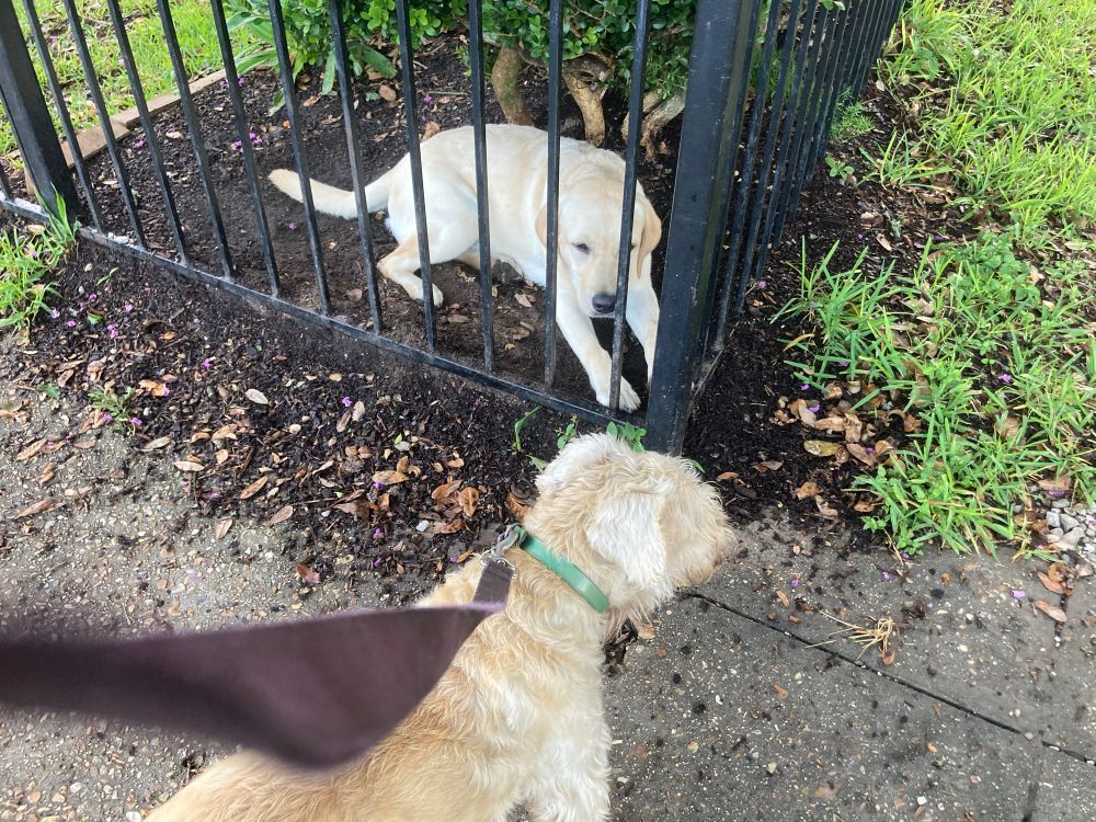 Max and his friend in New Orleans, around 2021 