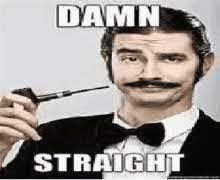 Damn straight meme