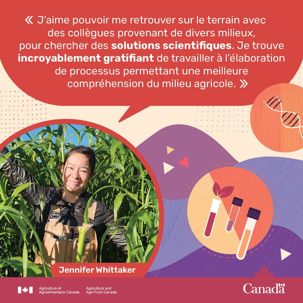 Une femme dans un champ de cultures agricoles. Photo d’une personne avec une citation qui indique : « J’aime pouvoir me retrouver sur le terrain, avec des collègues diversifiés, pour rechercher des solutions scientifiques. Je trouve incroyablement gratifiant de travailler au développement et à la compréhension des processus agricoles. » 