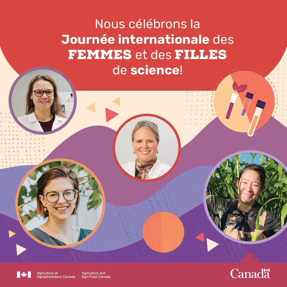 Images de quatre femmes accompagnées d’un texte qui indique : « Nous célébrons la Journée internationale des femmes et des filles de science! »  