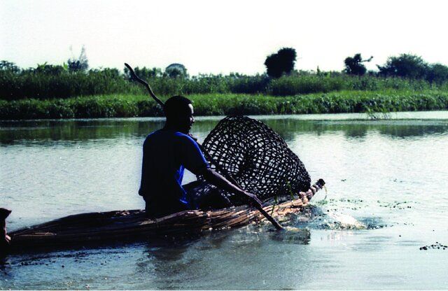 A traditional fisherman of L. Tana using a papyrus reed boat (tankwa) and a fish trap made from reeds (photo by F.A. Sibbing) (see Color Plates)
Vijverberg, J., Sibbing, F.A. and Dejen, E., 2009. Lake Tana: Source of the blue nile. In The Nile: Origin, environments, limnology and human use (pp. 163-192). Dordrecht: Springer Netherlands.