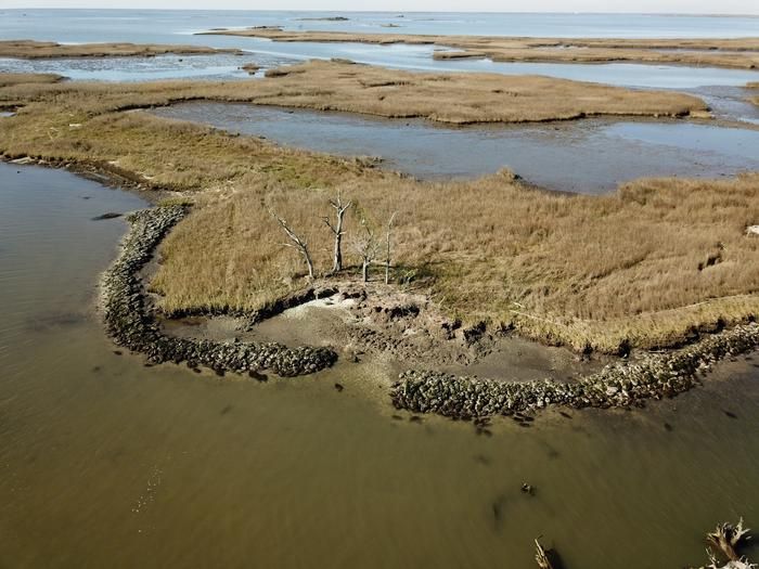  This picture is of Adams Bay mound site a precolonial archaeological site in Plaquemines Parish, Louisiana, dating to the Coles Creek period. The site has undergone period of rapid erosion, most dramatically after 2015. Despite the construction of an artificial oyster shell reef by the Coalition for Coastal Louisiana (CRCL), to slow the erosion, it is ongoing.
https://www.eurekalert.org/multimedia/1068454