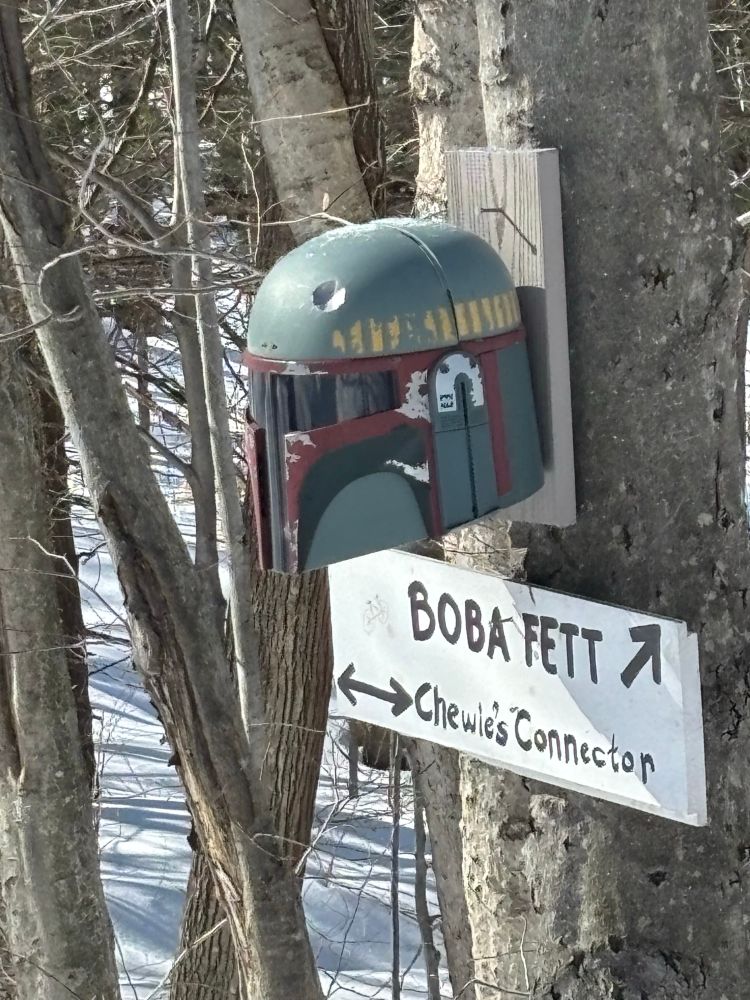 Boba Fett helmet on tree with sign 