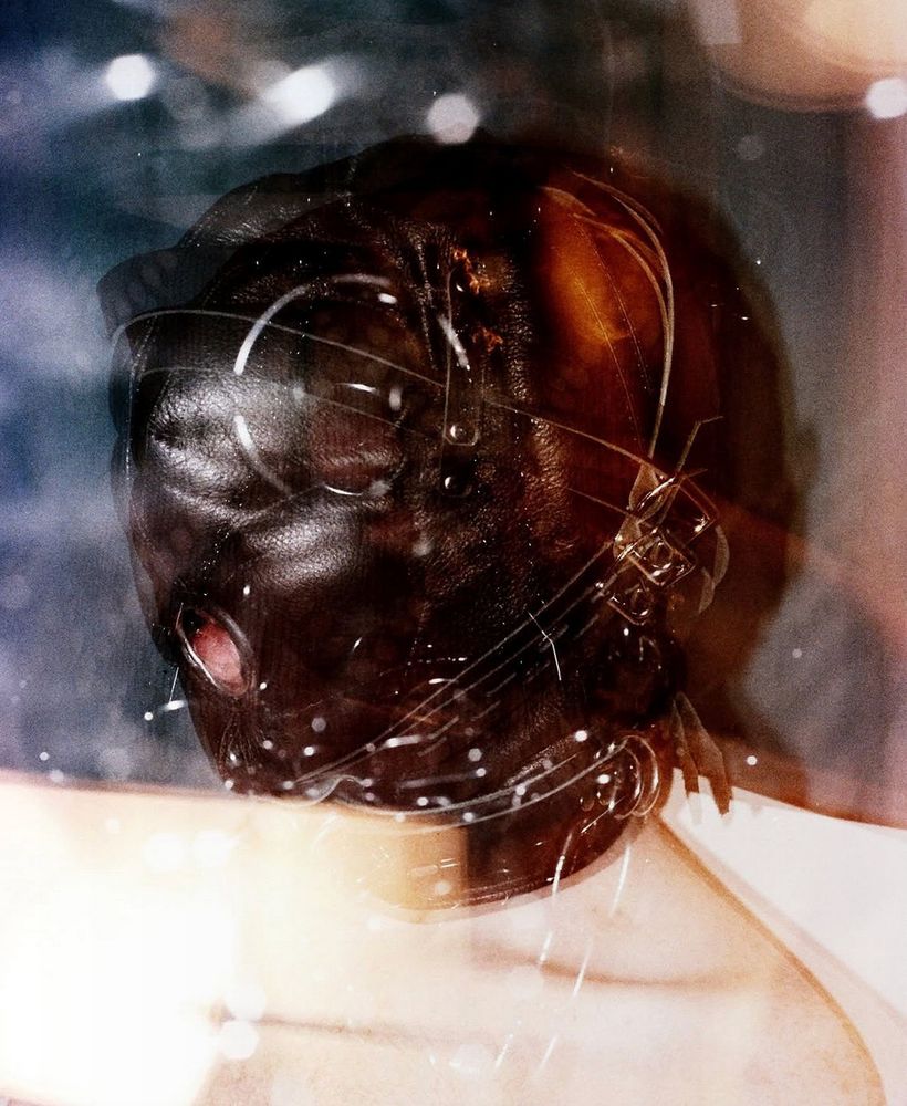 a shirtless submissive model is shot from the collarbone up, looking at their lower left. They are wearing a bondage hood, with their tongue visible from an o range. the film of the photo is degraded in an interesting way