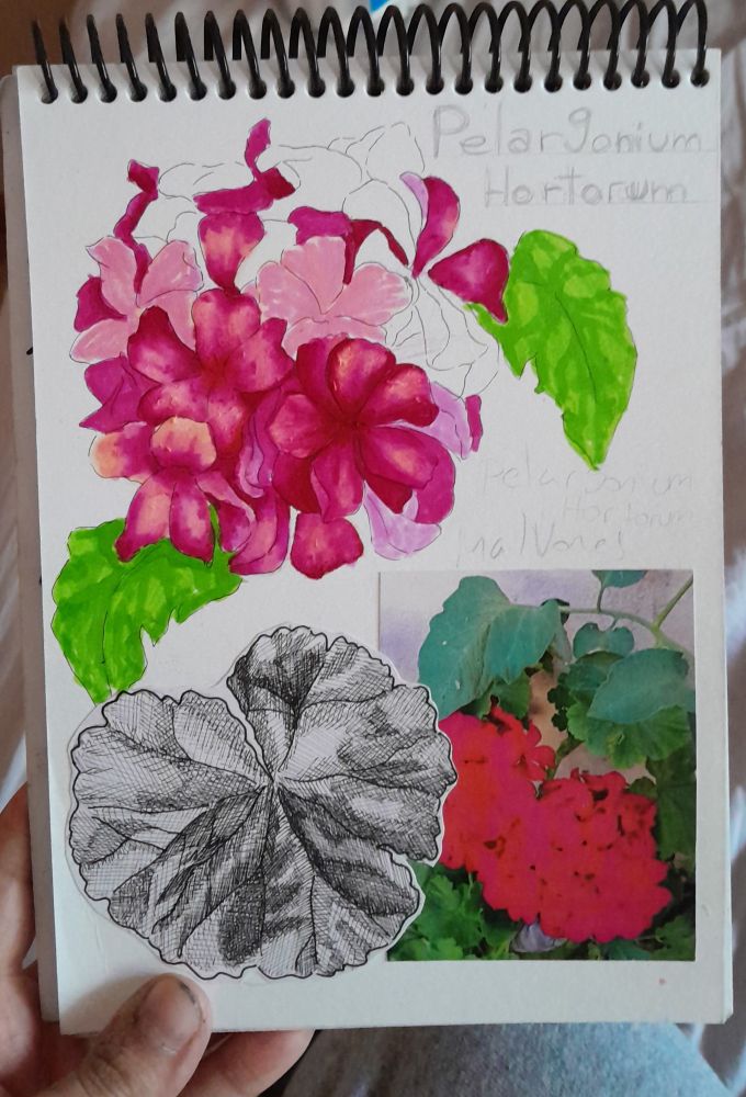Wip