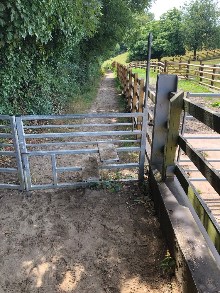 A metal gate, with built-in metal plates at right angles forming a stile. Also incorporating a gap to allow dogs to pass through without having to go over the stile.
