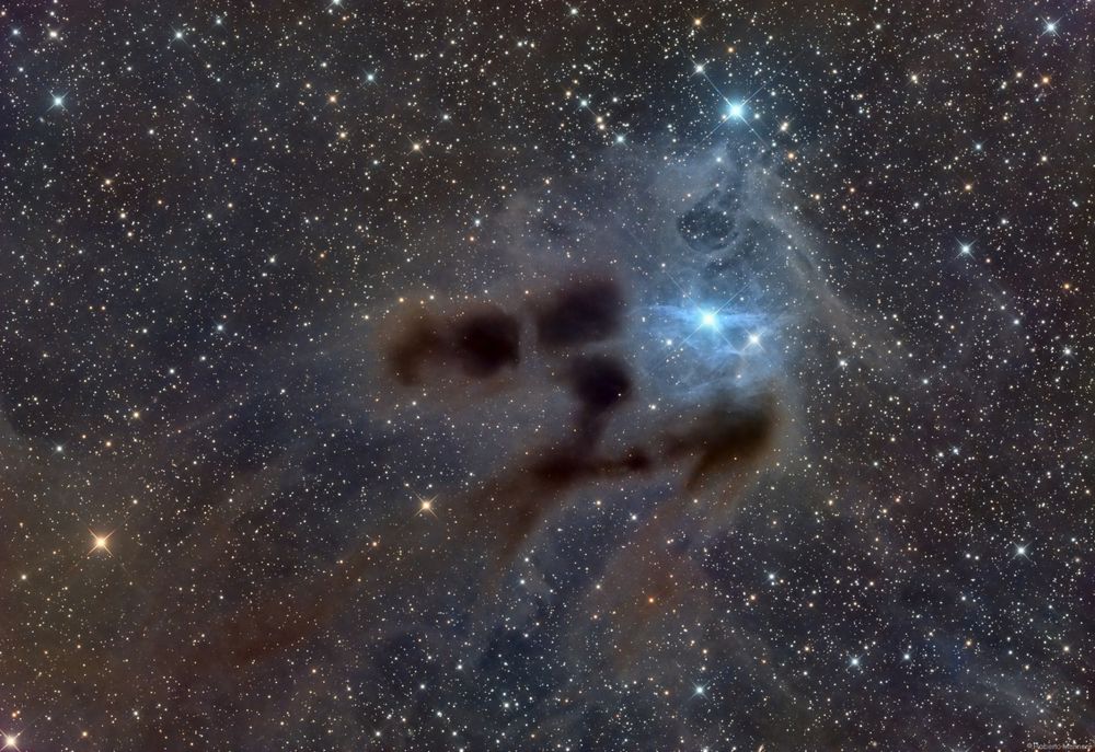 Reflections on VdB 31 captured by Roberto Marinoni.
