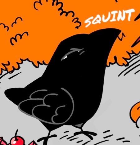 Squinting crow