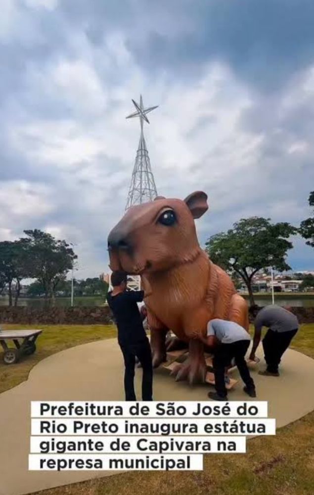 Imagem de uma estátua de capivaras gigante e a legenda " Prefeitura de São José do

Rio Preto inaugura estátua gigante de Capivara na represa municipal"
