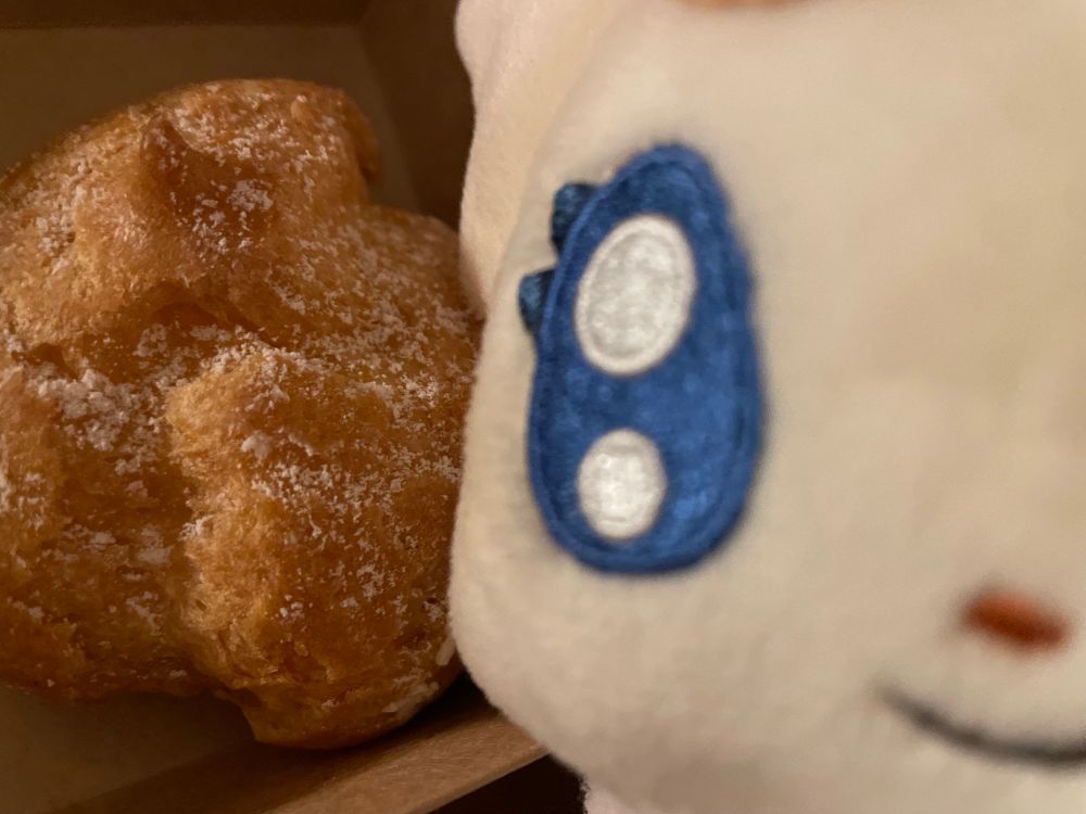 coco caught me taking his picture. help