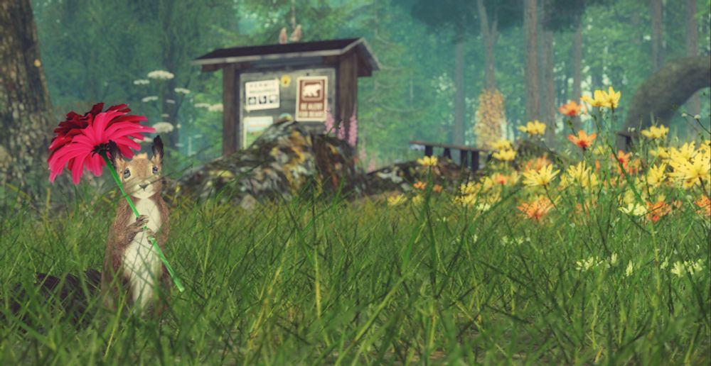 Cute squirrel holding a flower like an umbrella in blades of grass and wild flowers. Taken in Little Bear Park, a beautiful area with horse trails, campgrounds, cabins, and more. Rentals available. Also next to a movie area and Dancing Rabbit. Beautiful mainland in Second Life.
