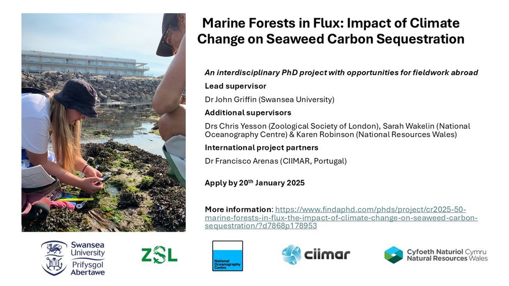 On the left an image of a PhD student undertaking fieldwork on a rocky shore in Portugal, part of the international fieldwork opportunities within this project. The rest of the image lists supervisors, affiliations, and the application deadline (available through link in post).  