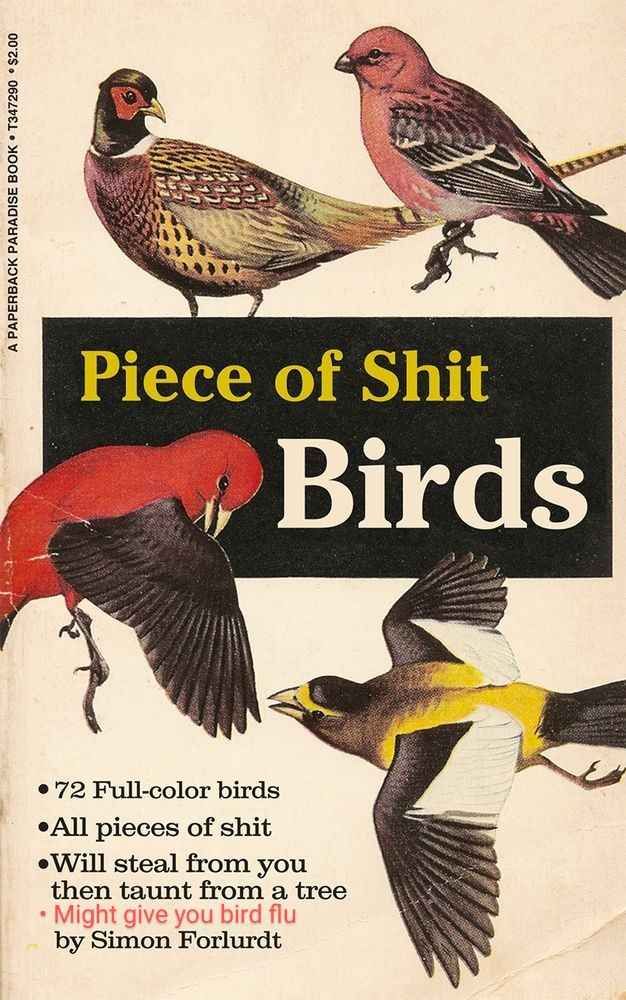 a cover of a paperback book entitled "piece of shit birds"
the cover depicts 4 different birds in various states of rest and flights
there were originally 3 bulletpoints on the cover that read:
- 72 full-color birds
- all pieces of shit
- will steal from you then taunt from a tree

book by Simon Forlurdt

a fourth bullet point was added that says "might give you bird flu"