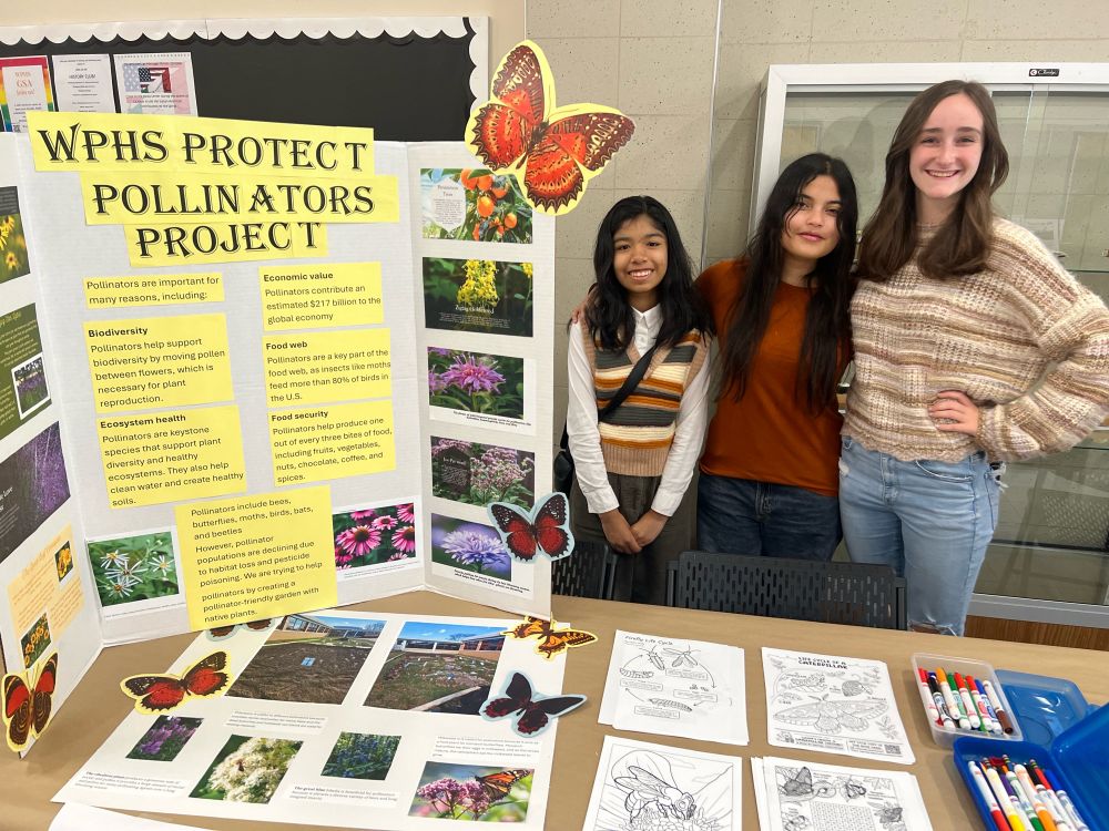 3 HS students presenting poster display on pollinators 