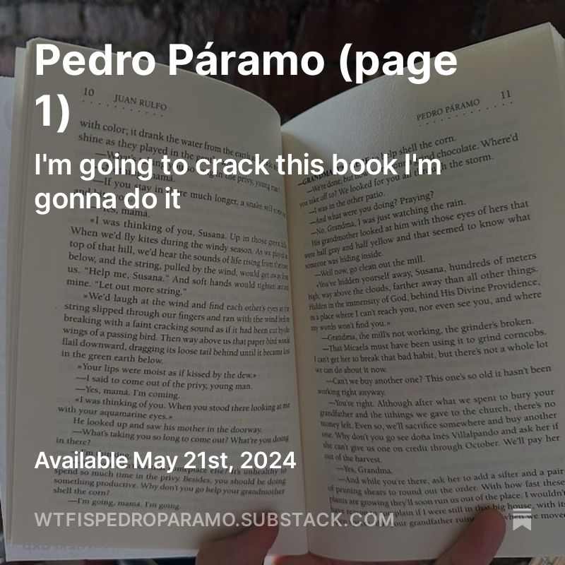 teaser image for first post of new blog wtf is pedro páramo hosted at wtfispedroparamo.substack.com