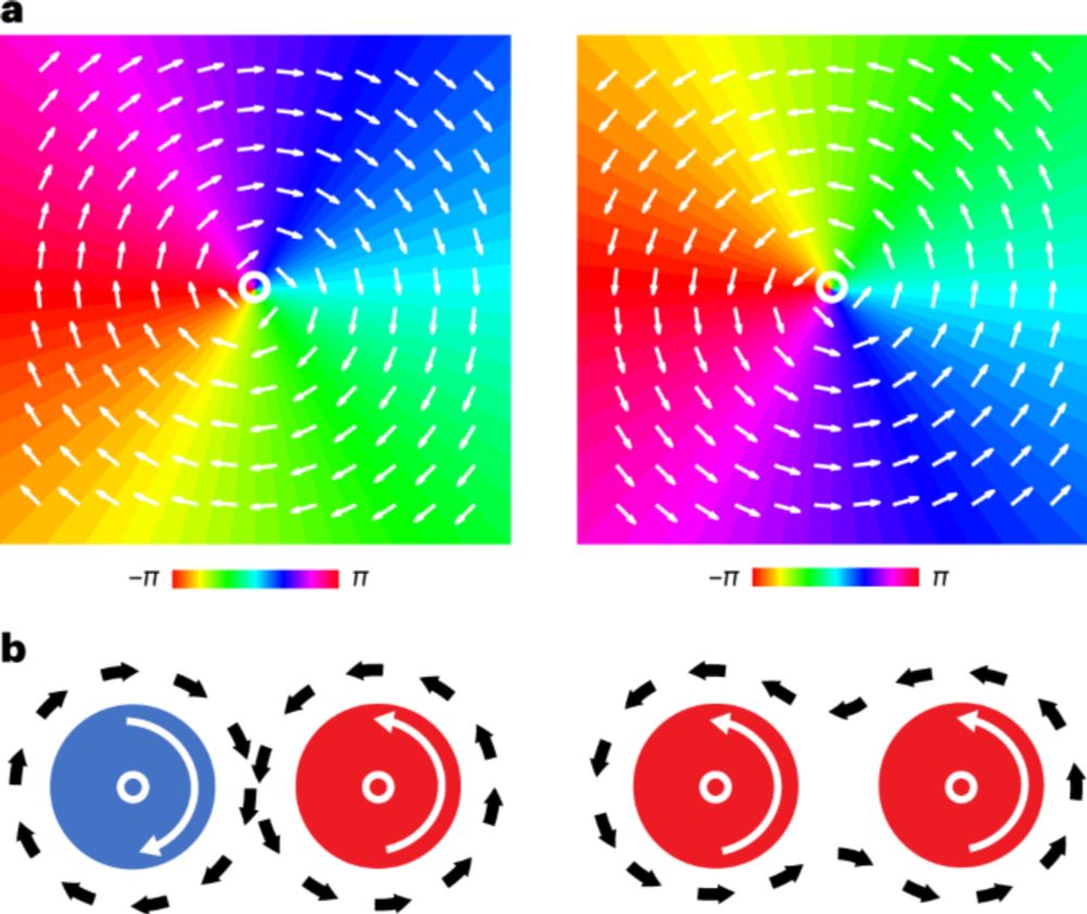 Interacting spiral wave patterns underlie complex brain dynamics and are related to cognitive processing - Nature Human Behaviour