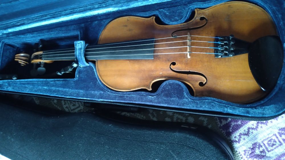 Fiol i öppnat fodral.