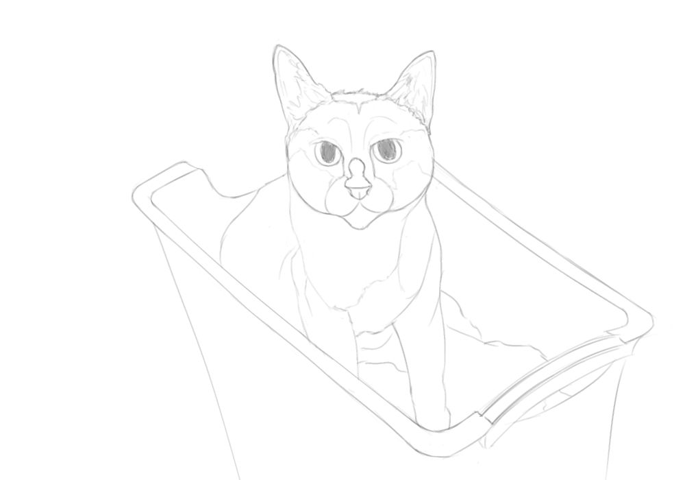 November 26, 2025.

A cat sits in a laundry basket, on top of a pile of clothes. It appears to be rather stoic about the situation.