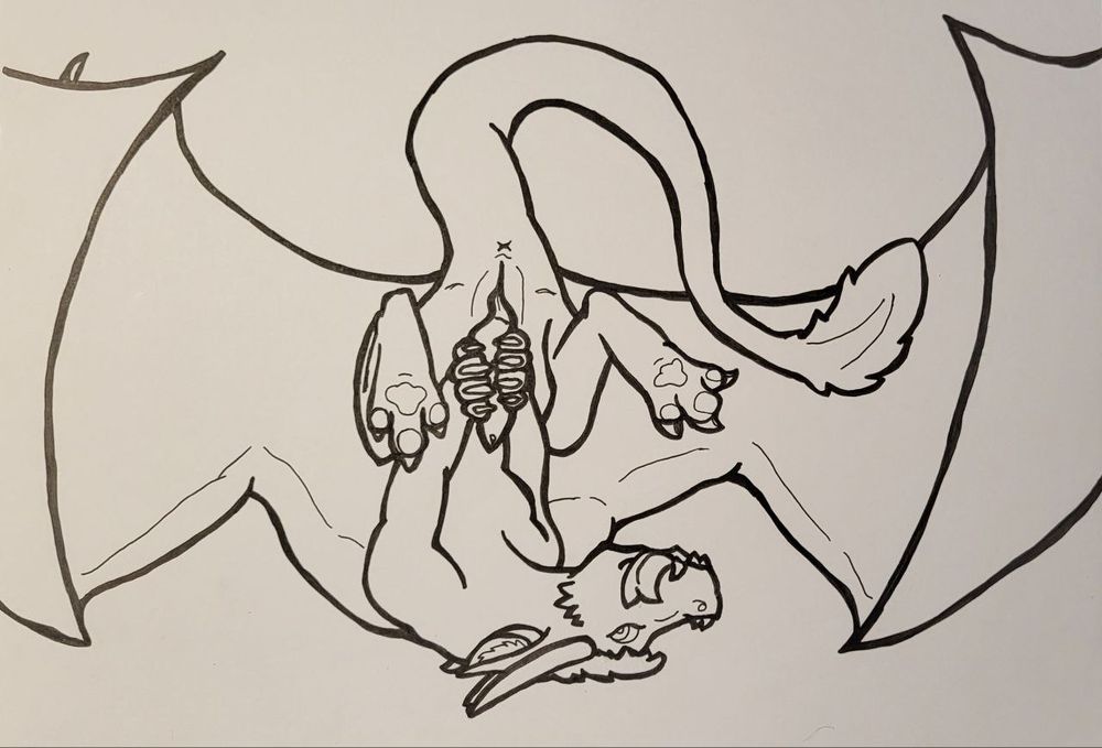 A sketch of a feral dragon upside down stroking himself as a horny kobold would. Hand drawn artwork