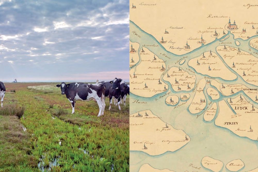 Fragment uit landschapsbiografie Biesbosch 